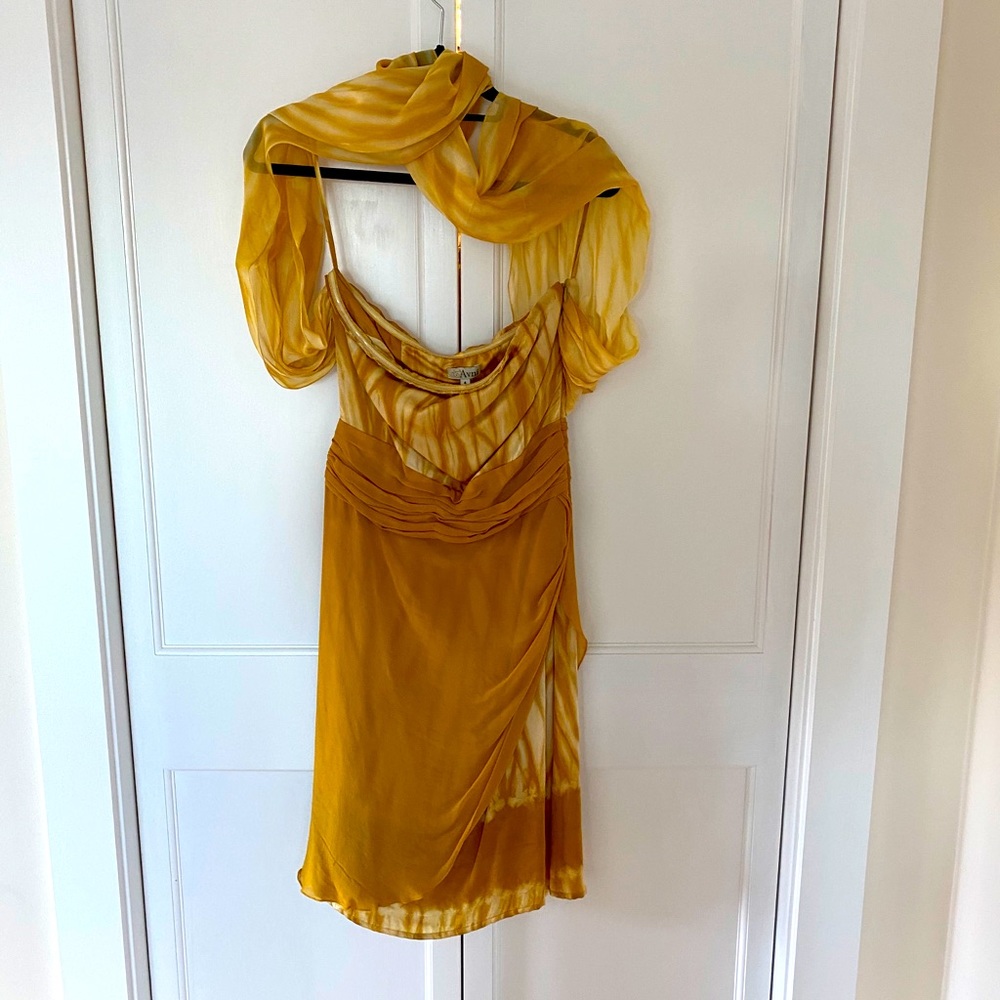 Avni Trivedi dress